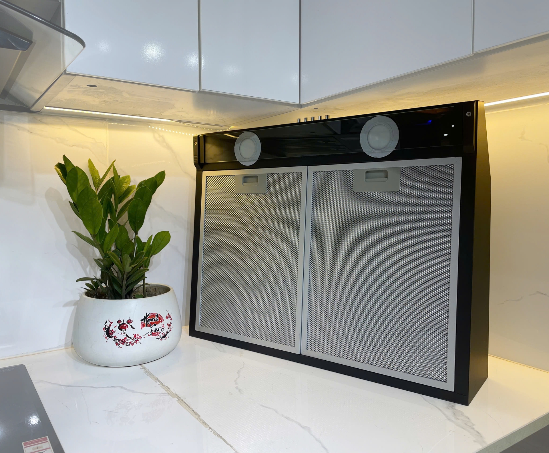 Máy hút mùi cổ điển Model: RHC-2214.PC60