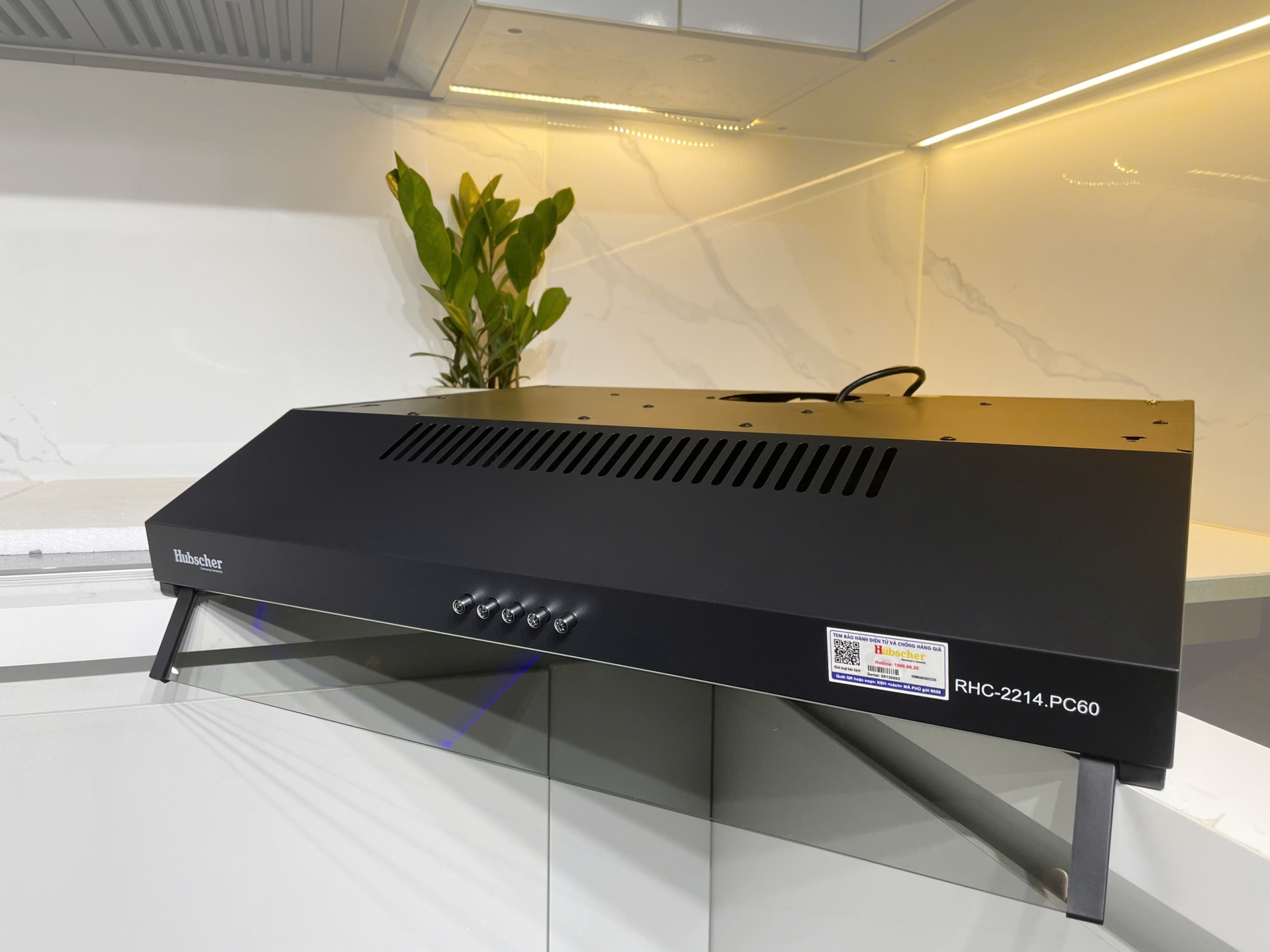 Máy hút mùi cổ điển Model: RHC-2214.PC60