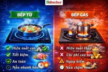 Bếp gas và bếp từ - Vì sao bếp từ ngày càng được ưa chuộng?